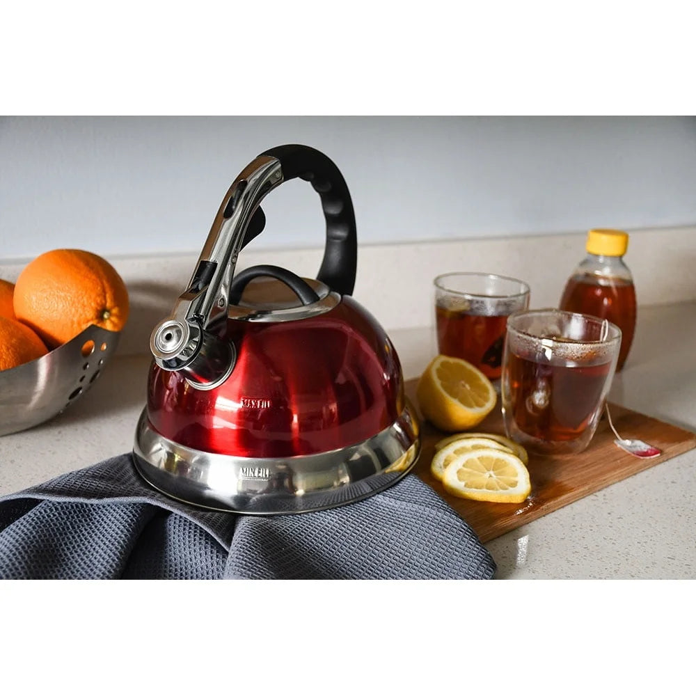 Effo Stainless Steel Induction Kettle With Pouring Handle