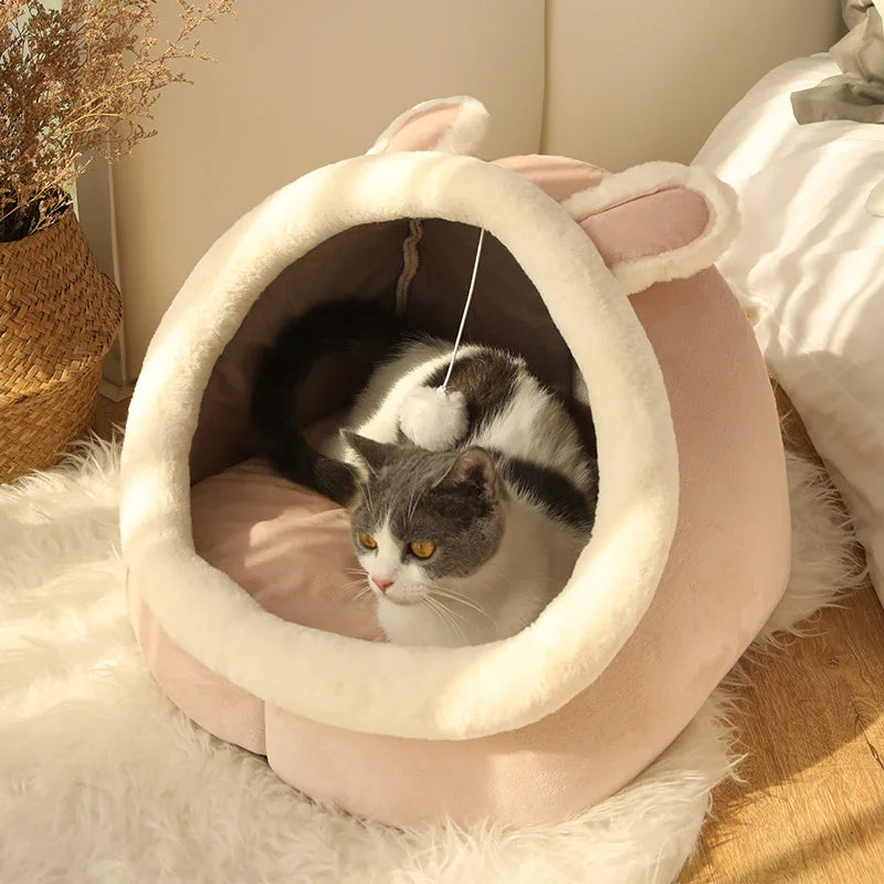 Deep Sleep Cartoon Cat Bed Foldable Removable Washable Pet