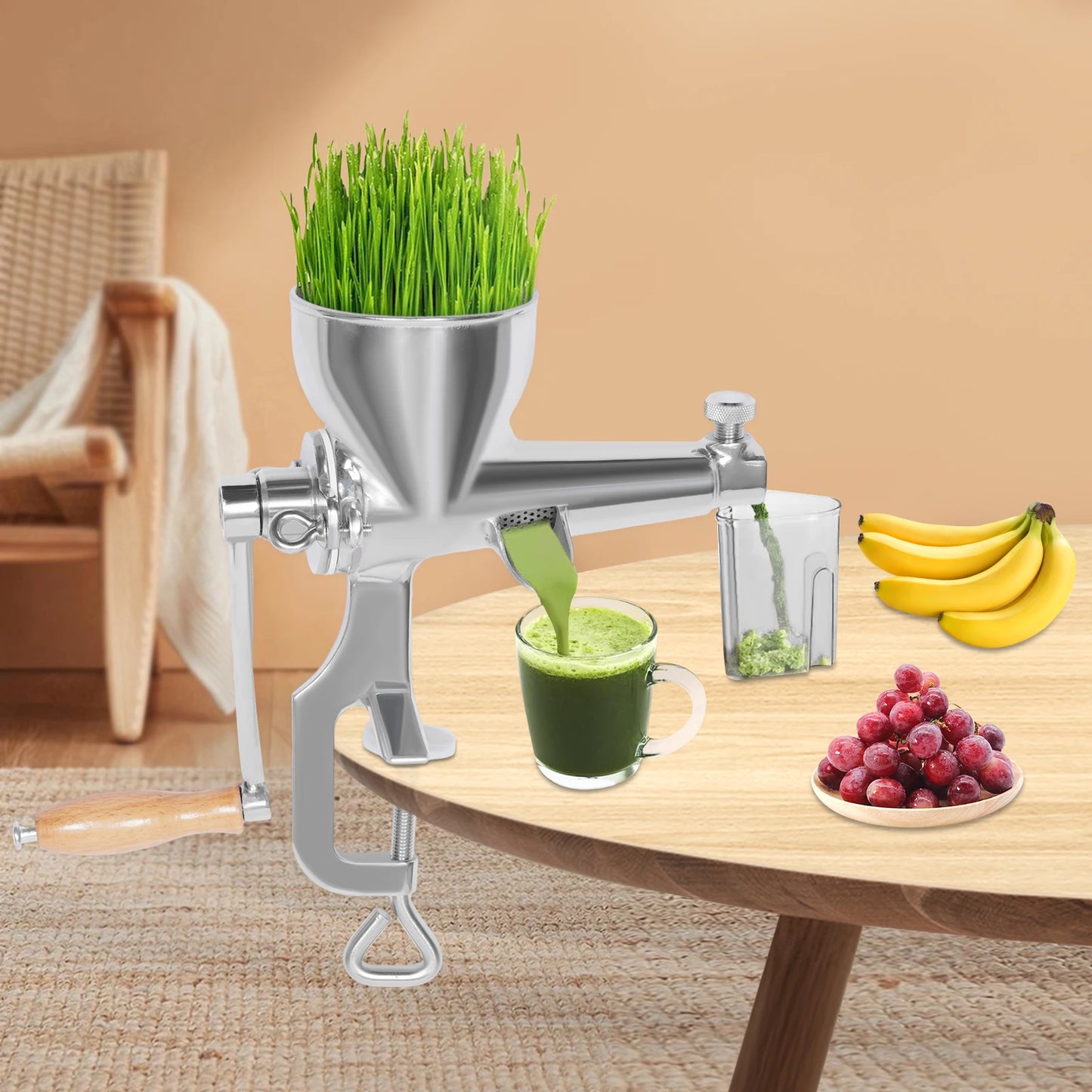 Manual Wheatgrass Juicer Hand Press Juicing Vegetables