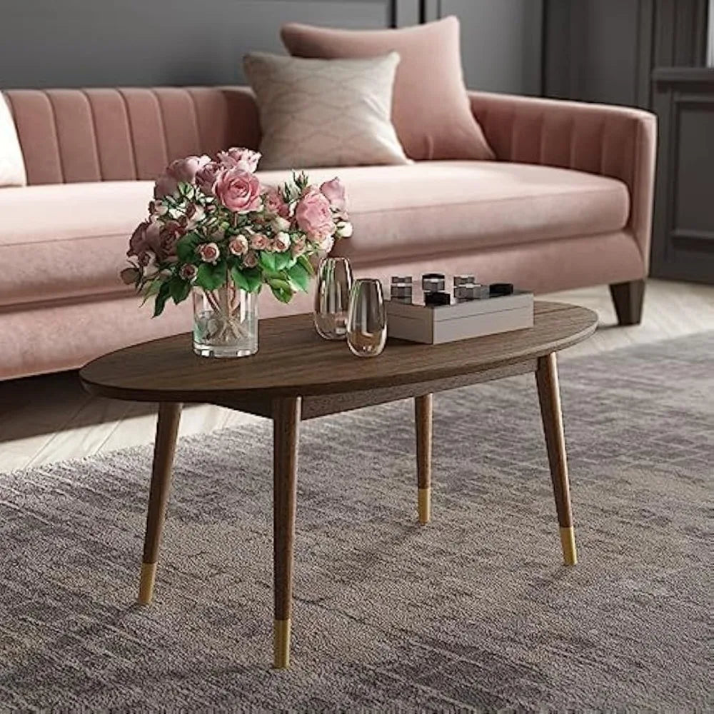Mid Century Modern Oval Coffee Table With Brass Feet