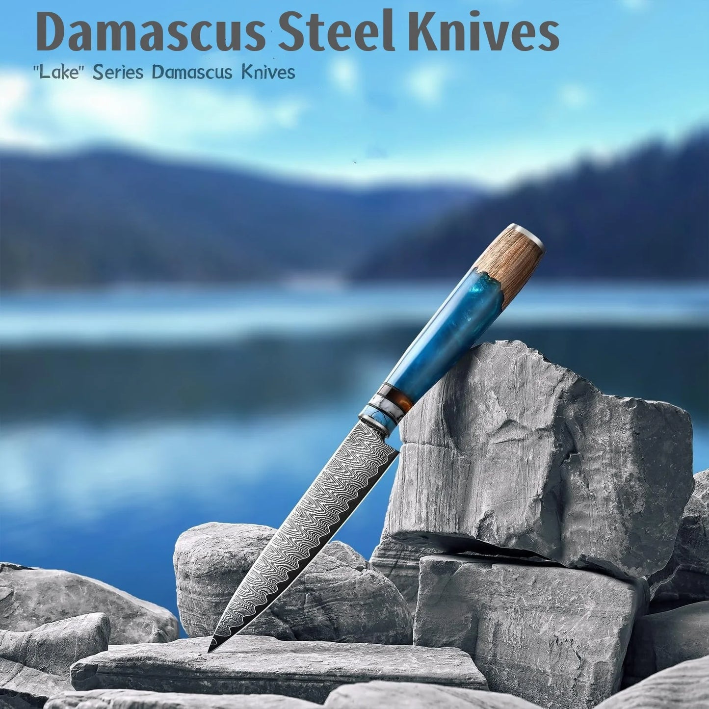 Damascus Steel Fruit And Vegetable Knife VG10 Japanese