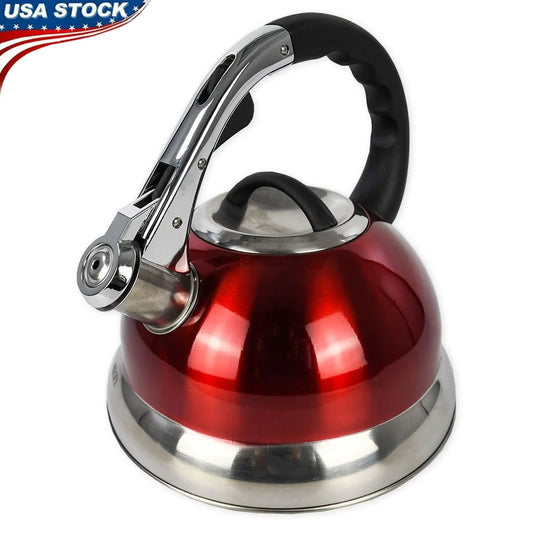 Effo Stainless Steel Induction Kettle With Pouring Handle