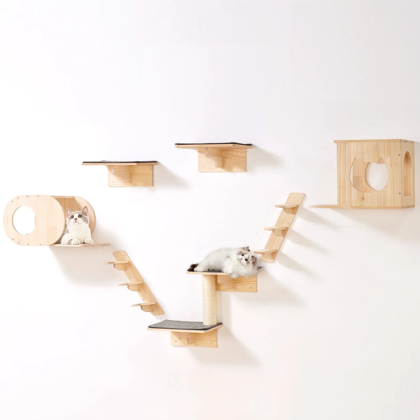SucceBuy Wall Mounted Cat Shelves and Perches with Jumping Boards and Hammocks Cat Tree