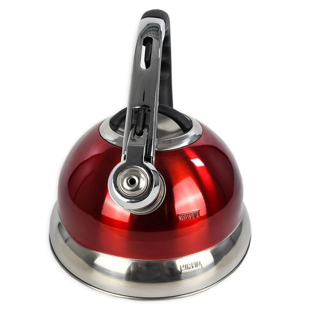 Effo Stainless Steel Induction Kettle With Pouring Handle